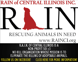 RAIN of Central Illinois.  Rescuing Animals In Need.  www. rainci.org